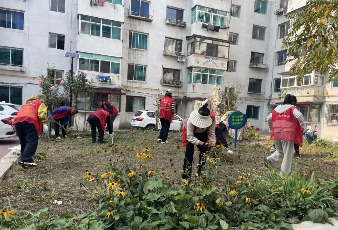 【美丽南芬】  全员齐上阵 洁净美家园 南芬区扎实开展“环境卫生清洁周”活动